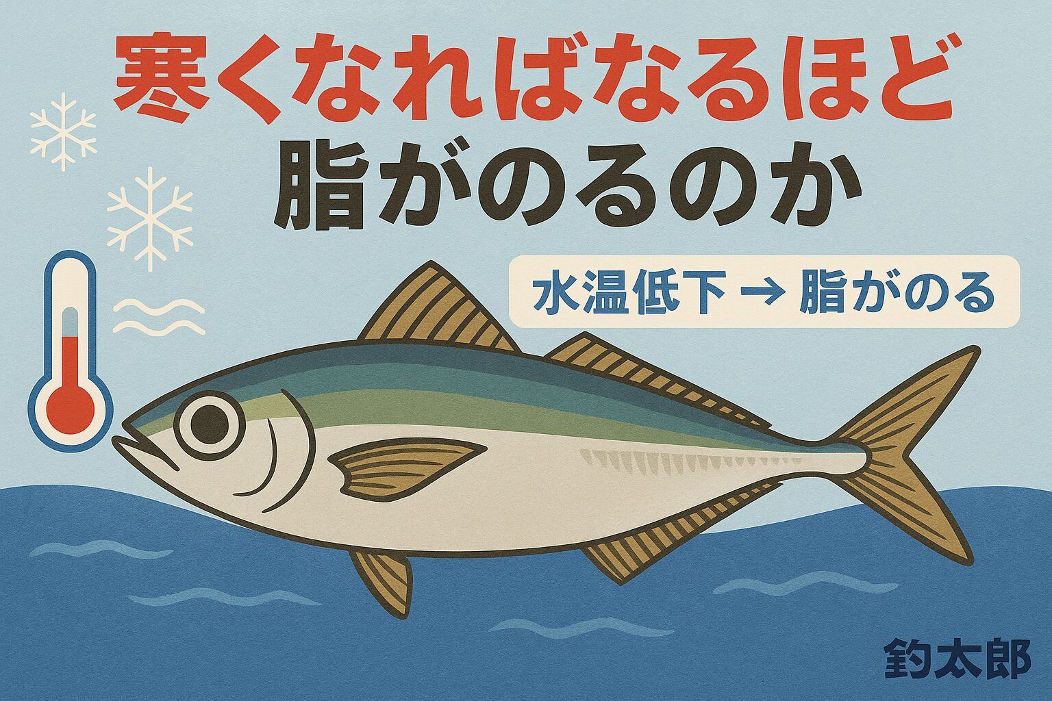寒尺アジが美味しいのは「過酷すぎない寒さ」があるから・適温は16〜18℃・南紀の冬はベストコンディション・脂は増え、しかも軽く甘い・身が締まり、旨味が爆発。釣太郎