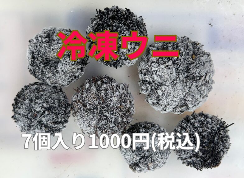 生ウニありませんが、冷凍ウニあります。1袋1000円。石鯛釣りエサ。釣太郎
