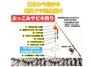 師走から始まる南紀の大型アジ釣り 寒尺アジは“堤防で釣れるトロアジ”。 流通しない幻級のうまさ、その理由と仕掛け解説。釣太郎