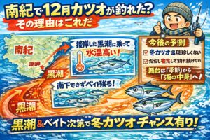 南紀で12月後半にカツオが釣れるのは黒潮ベイト水温。この3つが重なった結果。温暖化は直接ではなく間接的に南紀の海の季節感をズラしている。釣太郎