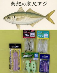 【脱・足元サビキ】「ロケットカゴ」を知らないのは損！南紀の堤防から尺アジを狙う最強アイテム。釣太郎