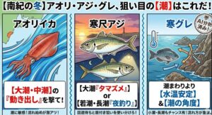 アオリイカ: 大潮・中潮で、潮の「変化」を捉えるべし。寒尺アジ: 回遊待ちなら大潮、数釣り・居付き狙いなら若潮・小潮もアリ。寒グレ: 水温安定重視なら小潮・長潮を見直せ。 重要なのは「適度な流れ」と「水温」。釣太郎