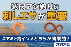 「ぶっこみサビキ＋刺しエサ」にすると釣果倍増冬の南紀でよく釣れているのが・ぶっこみサビキ・下カゴではなく上カゴタイプ・刺しエサを必ず付ける.釣太郎