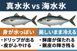 最高級の南紀の寒尺アジは「釣った瞬間」ではなく「冷やし方」で完成する。真水氷ではその価値を殺す。海水氷で冷やしてこそ 本物の寒尺アジ。釣太郎