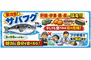 サバフグは「身に毒が出にくい」だけ・内臓や皮に毒を持つ個体が存在する・見た目や経験で判断するのは不可能・フグ毒は少量でも命に関わる・素人調理は絶対に避けるべき。釣太郎