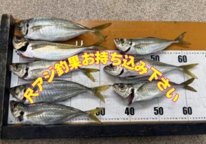 デカアジお持ち込み下さい。検寸できます。釣太郎