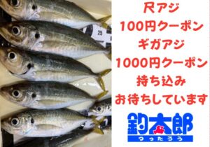 尺アジ、ギガアジ釣果お待ちしています。クーポン券、バラ氷進呈中。釣太郎
