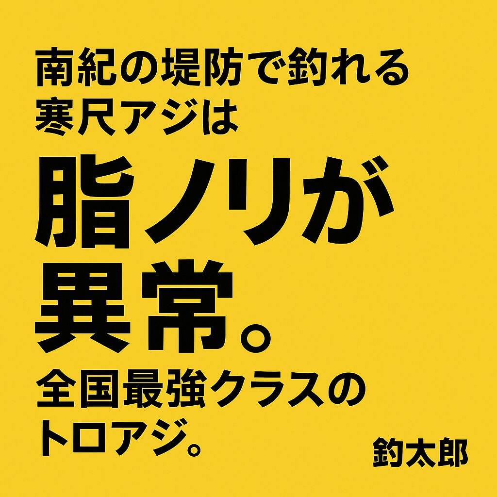 南紀の堤防で釣れる寒尺アジは。脂ノリが異常で、全国最強クラスのトロアジ。釣太郎