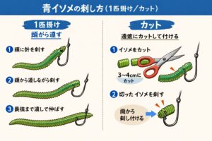 青イソメは、ぶっこみサビキとの相性が抜群。遠投しても外れにくい。寒尺アジの常食。匂いが強烈。夜に光る。エサ取りに強い。底の底にいる寒尺アジを狙える。釣太郎