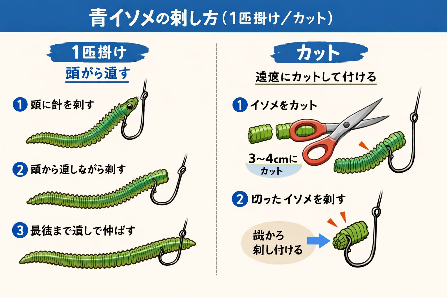 青イソメは、ぶっこみサビキとの相性が抜群。遠投しても外れにくい。寒尺アジの常食。匂いが強烈。夜に光る。エサ取りに強い。底の底にいる寒尺アジを狙える。釣太郎