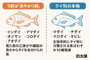 日本には“タイ”と名の付く魚が300種類以上いるが、本当にタイ科に属するのは10種類ほどしかいない。釣太郎