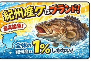 紀州産クエがブランドとされる理由は、黒潮の激流が作った「最強の身質」 しかし、その天然物は全国シェアのわずか1％程度。釣太郎