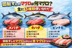 回転すしのマグロは、 主にメバチ。キハダ。 ビンナガ。本マグロは、ごく一部の限定ネタ。釣太郎