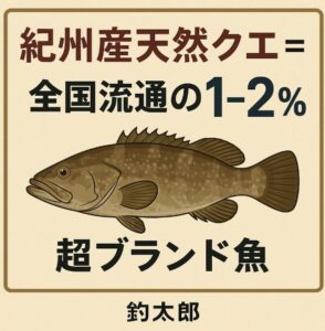 紀州産天然クエの市場流通割合は 全国の1〜2％程度・市場で見るクエの 9割以上は養殖・天然はほとんどが 冷凍で70％以上.釣太郎