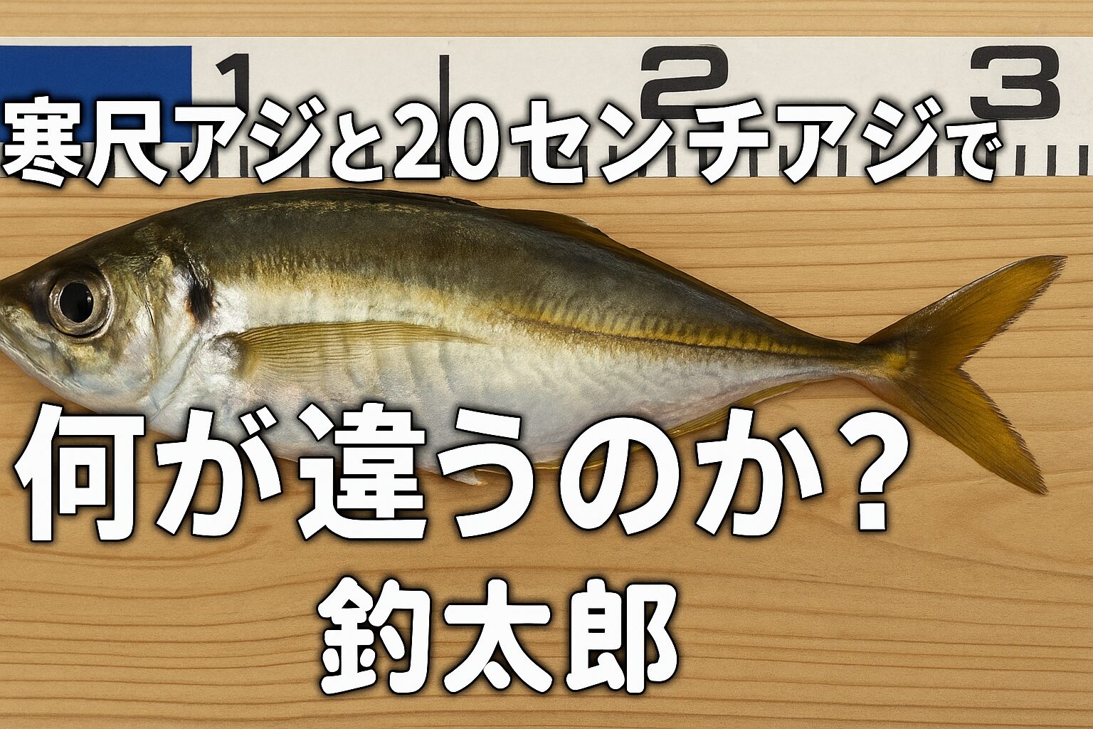 尺アジと20センチアジは別物・脂、引き、価値すべてが違う・尺アジは底の底にいる・出会える確率は数％・だからこそ釣れた時の感動が大きい。釣太郎