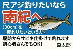 12月でも本当に大型アジが釣れるの？釣れます。南紀は黒潮の影響で冬でも大型アジが接岸します。釣太郎