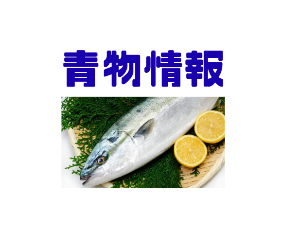 南紀で青物やっと釣れはじめました。サイズは80前後です。釣太郎