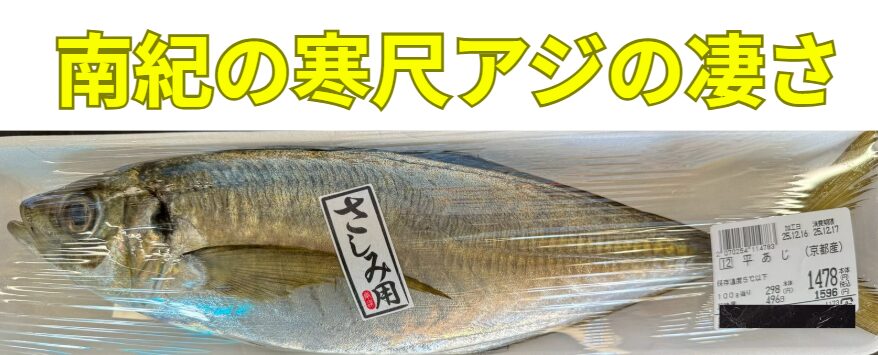 京都産の尺アジを買って驚いた人へ 南紀の寒尺アジとの違いの解説。釣太郎