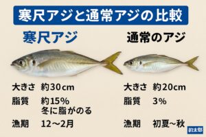 南紀の寒尺アジは“ぶっこみサビキ”で狙え。冬だけ現れる幻の30cm級アジ完全攻略ガイド。釣太郎