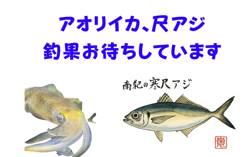 アオリイカ、尺アジ釣果、お待ちしています。釣太郎