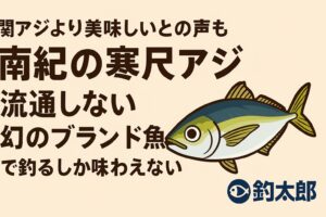 南紀の寒尺アジは関アジ以上の美味しさとの声もある。脂質15〜22%で全身トロ・市場流通はほぼゼロ。堤防から釣るしか味わえない“幻のブランド魚”釣太郎