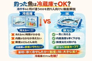 釣った魚の保管で重要なのは、冷蔵庫かどうかではありません。最初に氷で冷らしたかどうかです。釣太郎