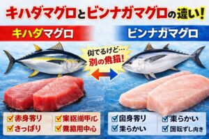キハダマグロとビンナガマグロは、似ているようで別物。キハダ → 赤身寄り→ さっぱり→ 加工向き。ビンナガ→ 白身寄り→ 柔らかい→ 回転すし向き。釣太郎