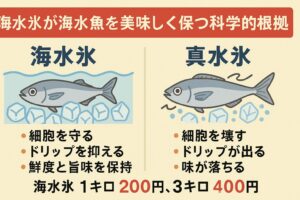 海水魚は真水に弱い。 真水氷は旨味を流す。 海水氷は細胞を守る。 釣太郎の海水氷は、釣果を価値に変える氷。