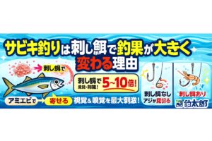 サビキ釣りで刺し餌は“食わせの決定打” アジは最後に視覚で判断→刺し餌が強い。釣果は5〜10倍変わる 大型アジほど刺し餌を選ぶ。夜・濁り・深場ほど刺し餌の効果が伸びる。釣太郎