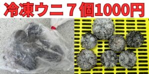 冷凍ウニ7個入り1000円。生は今シーズン販売終了。釣太郎