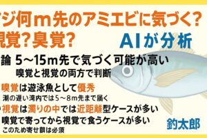 アジはアミエビの匂いを 5〜15m先で感知できる● 最初に寄せるのは 嗅覚がメイン● 最終的に食うかどうかの判断は 視覚が決める。釣太郎