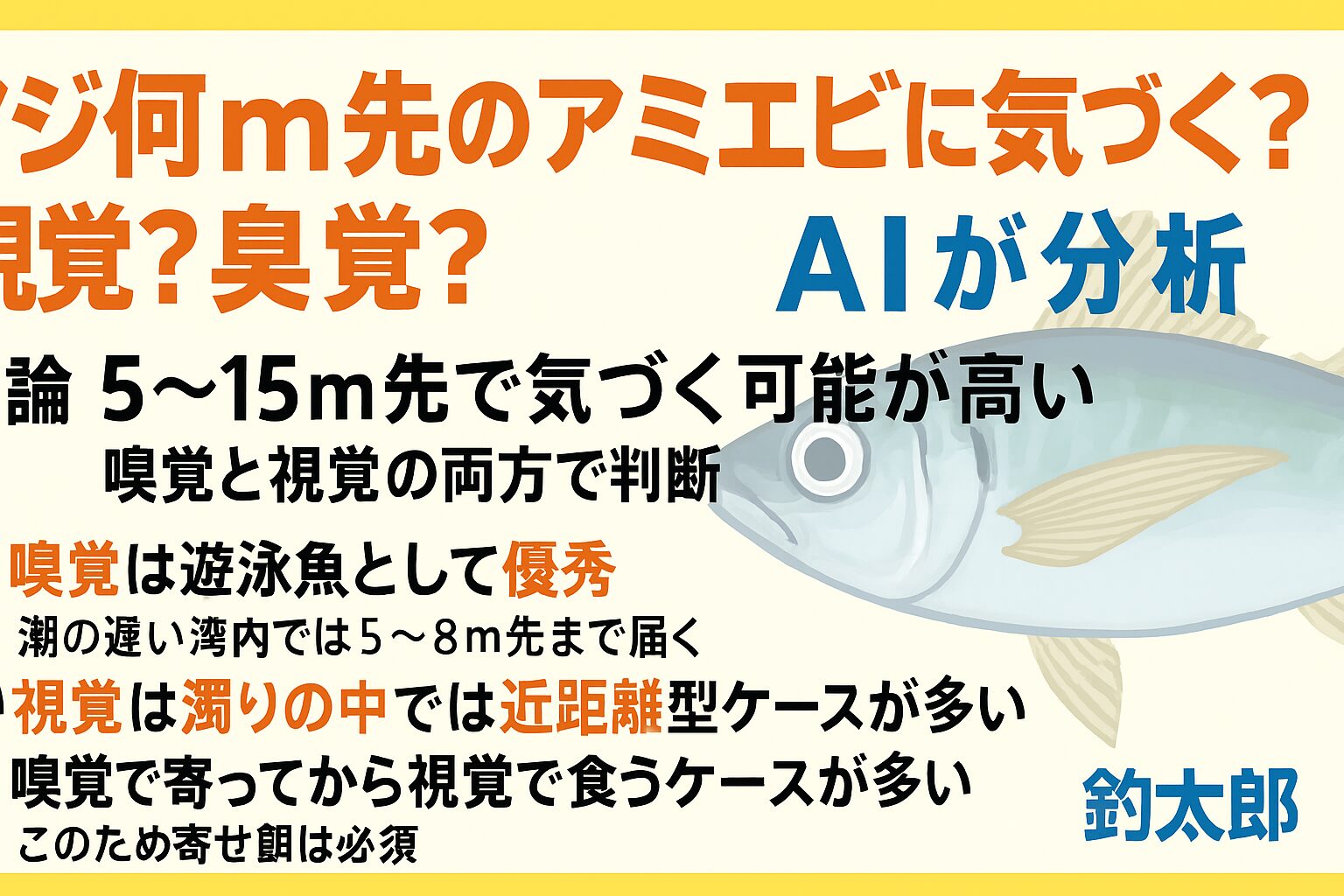 アジはアミエビの匂いを 5〜15m先で感知できる● 最初に寄せるのは 嗅覚がメイン● 最終的に食うかどうかの判断は 視覚が決める。釣太郎