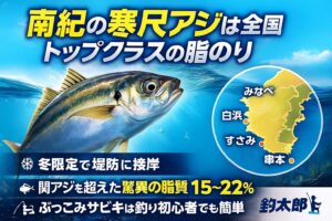関アジより脂がのる南紀の寒尺アジ。堤防から釣れる“真冬限定トロアジ”を狙いませんか？釣太郎