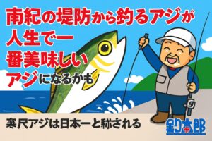 南紀の寒尺アジは、人生で一番美味しいアジになるかもしれない。脂が乗る冬季はまさに旬で、堤防から釣れるという奇跡の環境。釣太郎