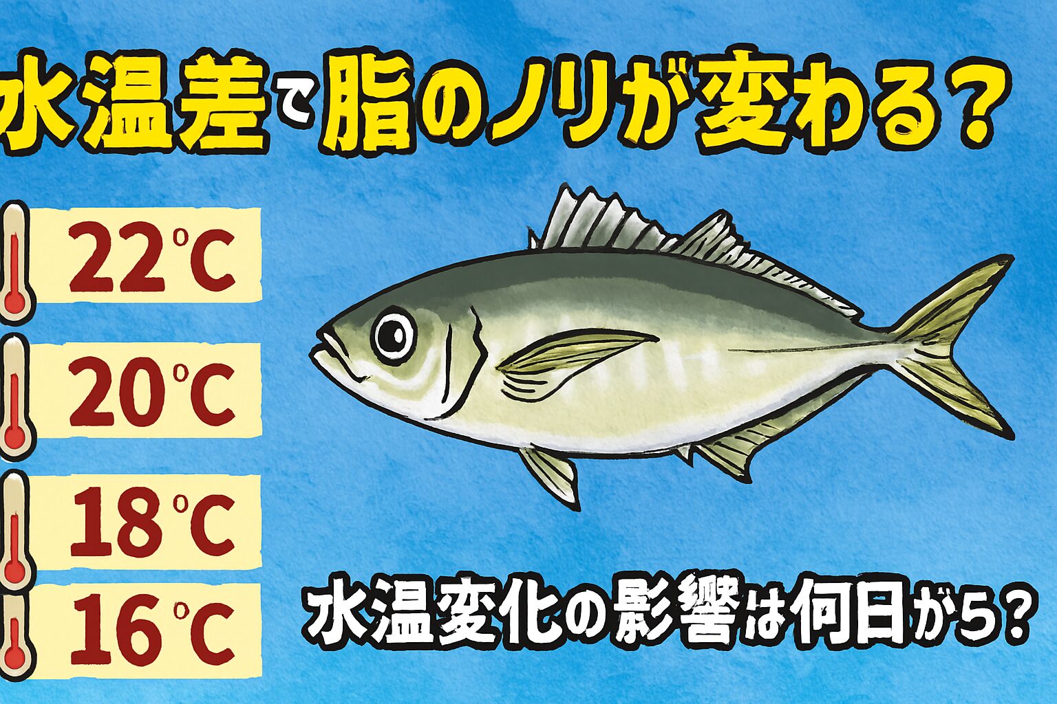 南紀の寒尺アジは 水温が下がるほど脂がのり、旨味が増す 特別な魚。釣太郎