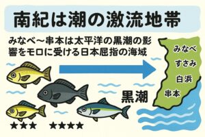 【南紀は潮の激流地帯】みなべ〜串本は黒潮の影響をモロに受ける日本屈指の海域。釣太郎