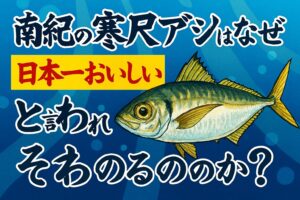 脂の乗り、鮮度、環境、釣れ方―― すべてが揃った南紀の寒尺アジは、まさに日本一美味しいアジと呼ぶにふさわしい存在.釣太郎
