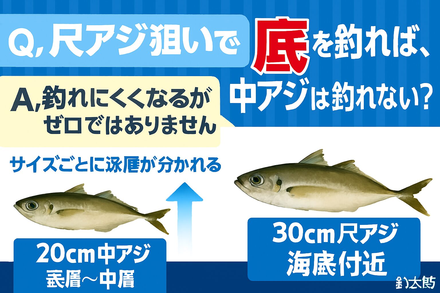 尺アジ狙いは“底”が鉄則。でも中アジも捨てるな。尺アジは海底に張り付く → 底狙いが必須。中アジは中層〜表層 → 同時に狙うには棚分けが必要。釣太郎