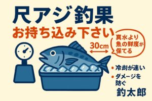 南紀の冬季は、堤防から大型アジ釣りが大人気！釣太郎
