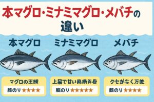 寿司屋でもスーパーでも必ず見かける「マグロ」。しかし、実は本マグロ・ミナミマグロ・メバチでは、味・脂・価格・旬が大きく異なります。釣太郎