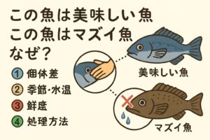 同じ魚でも「美味しい or マズイ」？その差は“魚種”ではなく“状態”だった！釣太郎