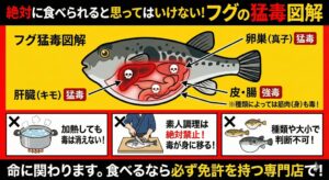 フグ調理は素人が危険な理由は、種類や大小にかかわらず、素人判断は不可能。加熱しても毒は消えない。素人がさばくと、身に毒が移る。釣太郎