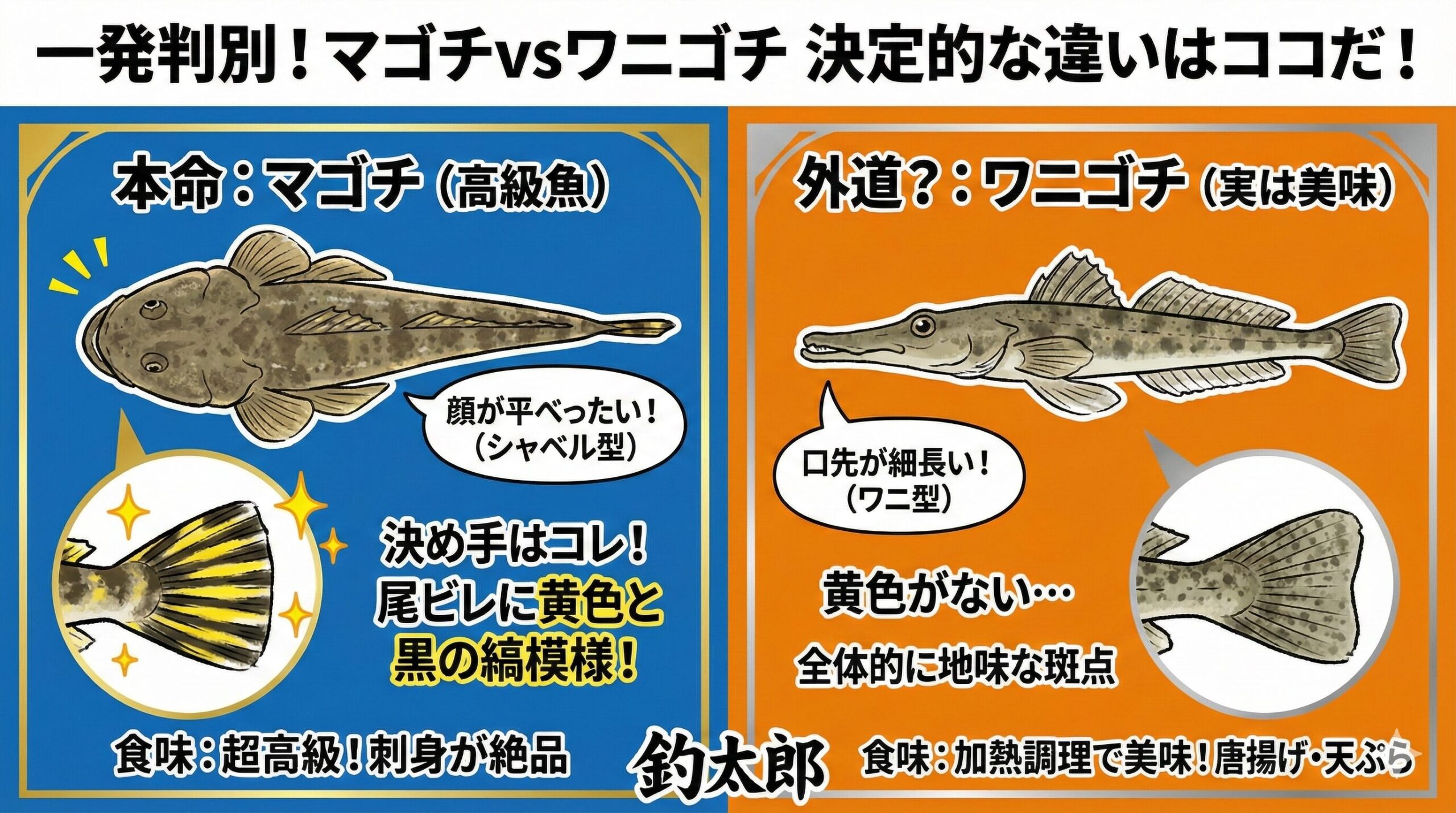 マゴチ（真鯒）釣り人にとってのスターであり、夏のフグとも称される超高級魚。ワニゴチ（鰐鯒） マゴチの外道として釣れることが多い。釣太郎