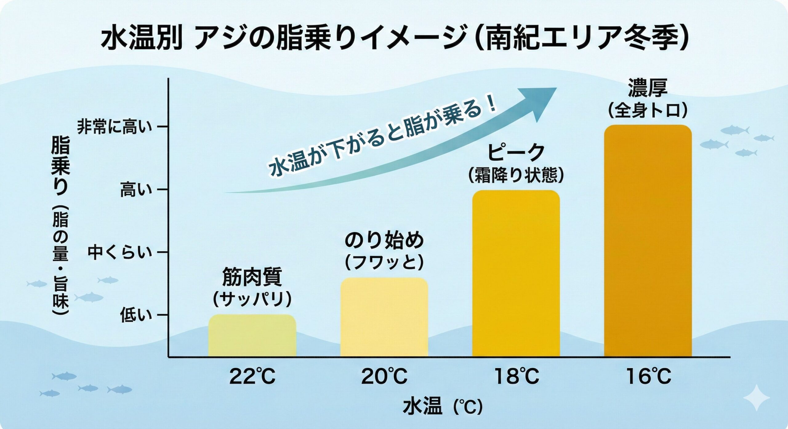 南紀の寒尺アジは「水温」で味が激変する！？22℃～16℃の脂乗り変化と期間を徹底解説.釣太郎