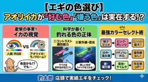 アオリイカ釣り、朝夕マヅメ・曇天・ローライト時【鉄板カラー：ピンク、オレンジ、赤テープ】光量が少ない状況では、これらの派手な色は水中で背景とのコントラストが最大になります。釣太郎