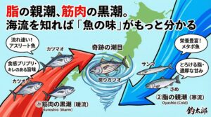 南紀の釣り人は「筋肉の味」を誇ろう。黒潮＝筋肉（食感、歯ごたえ、キレ）親潮＝脂（とろける、濃厚、甘み）それぞれの海流が育んだ個性。釣太郎