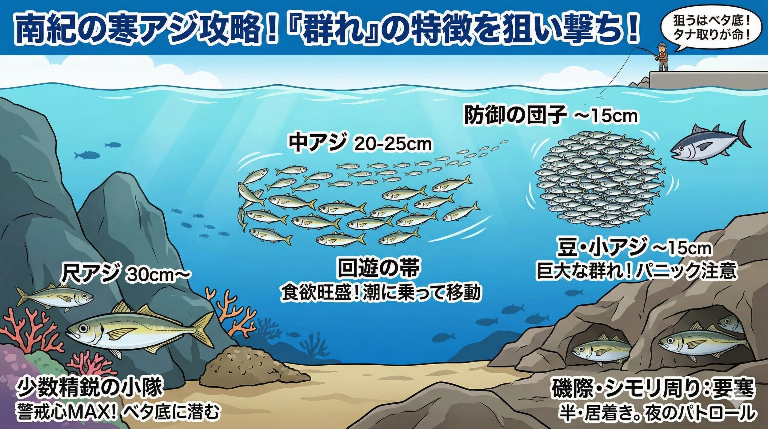 寒尺アジは底付近の水温が最も安定しており（16〜17℃前後）、体力を使わずにエサ（底生生物や流れてくるプランクトン）を待っている。釣太郎