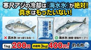 【寒尺アジ】その氷、間違っていませんか？「日本一のアジ」を極上のまま持ち帰る唯一の方法＝「海水氷」釣太郎