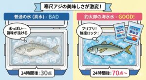 30cmを超える寒尺アジは、市場で買えば1匹数千円することもある高級魚。海水氷で冷やしましょう。釣太郎