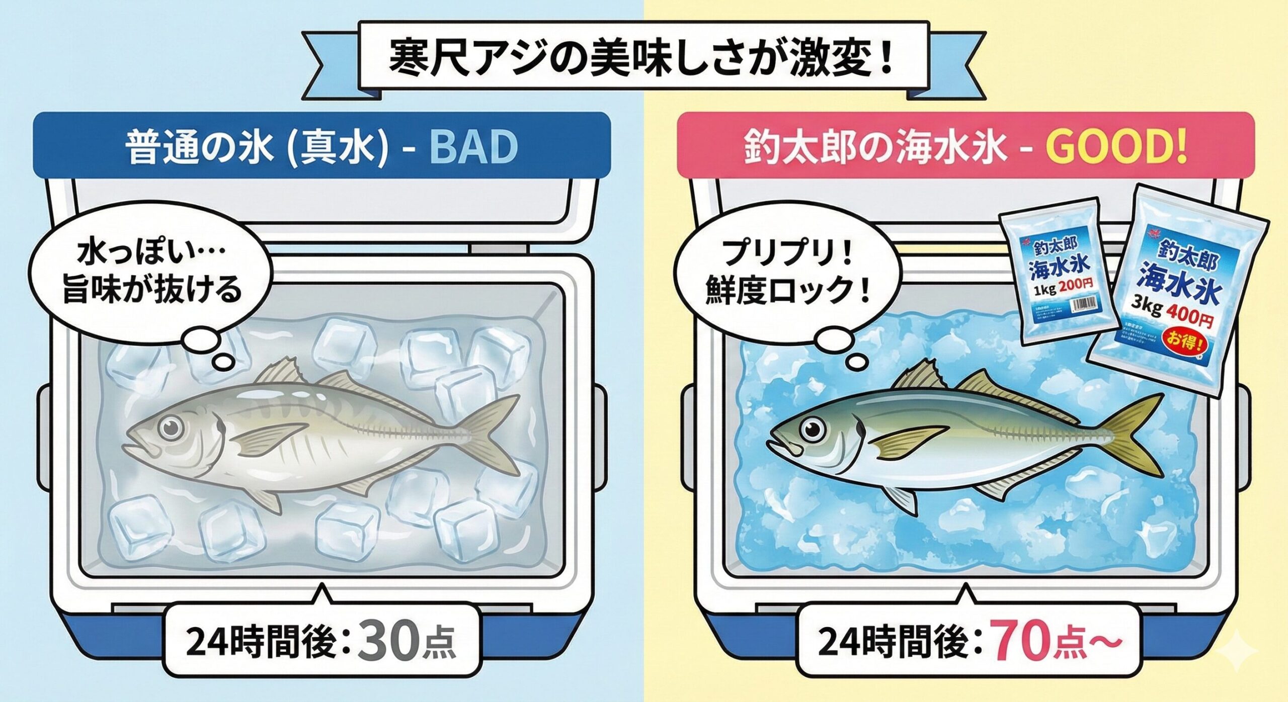 30cmを超える寒尺アジは、市場で買えば1匹数千円することもある高級魚。海水氷で冷やしましょう。釣太郎